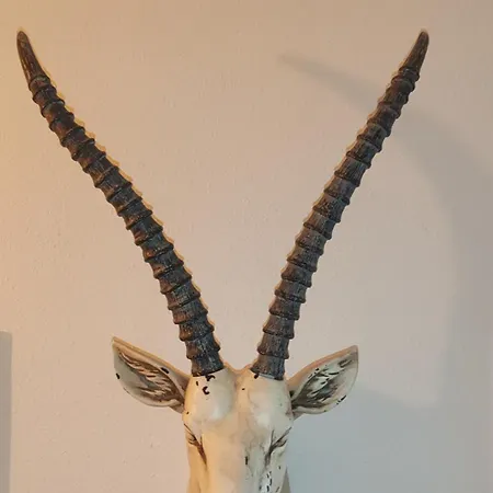 Central Studio Appartement